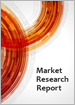 採購分析的全球市場:2021～2025年