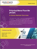 聚偏二氟乙烯 (PVDF)：全球市場概覽