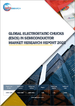 半導體靜電吸盤 (ESC) 的全球市場 (2022年)