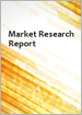 地工格網:全球市場預測(2022年～2027年)