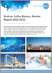 全球鈉硫 (NAS) 電池市場預測(2022-2032 年):模式、行業、應用、類型、區域/主要市場分析、主要公司、COVID-19恢復情景