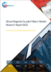 磁結合攪拌機的全球市場:2022年