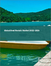 船艇出租的全球市場:2022年～2026年