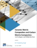 陶瓷基複合材料 (CMC) 和碳基複合材料 (CAMC)：技術和全球市場
