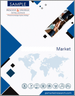 MaaS（移動即服務）市場：按服務類型、車輛類型、通勤模式、最終用途、支付類型、促銷類型至2030最新全球行業趨勢和需求預測