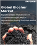 全球生物炭市場（按技術、按應用、按原材料類型、按地區）：預測與分析（2021-2028 年）