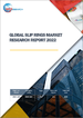 滑環的全球市場的分析 (2022年)