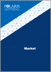 尿囊素的全球市場 - 佔有率，規模，趨勢，產業分析:各業界，各原料，各用途，各地區，市場區隔預測(2022年～2030年)