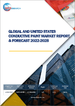 導電性塗料的全球市場、美國市場的預測:2022年～2028年