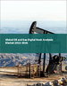 石油、天然氣的數位岩石分析的全球市場(2022年～2026年)