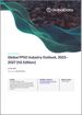 浮體式石油、天然氣生產貯存貨運設施 (FPSO):市場分析與預測(2022年～2027年)