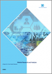 耐化學性止水材的全球市場:2022-2028年