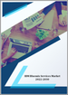 IBM Bluemix服務的全球市場:成長，未來展望，競爭分析 - 2022年～2030年