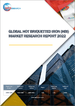HBI (熱間成型還原鐵) 的全球市場的分析 (2022年)