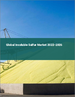 不溶性硫磺的全球市場 2022-2026