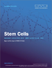 幹細胞市場：規模、份額、趨勢分析報告：副產品（成人幹細胞、人類胚胎幹細胞）、應用、技術、治療、最終用途、地區、細分市場預測，2022-2030 年