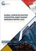 鋰離子電池用導電劑的全球市場的分析 (2022年)