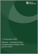 為了突破網路研討會 - 歐洲的電力市場:能源危機(2022年秋天)