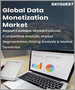 資料收益化的全球市場:各組織規模，各方法，各業界，各地區-預測及分析(2022年～2028年)