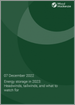 能源儲存(2023年):逆風和順風，及值得注意的點