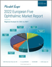歐洲主要5個國家的眼科市場(2022年):2021年～2027年的分析