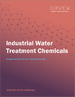 工業水處理化學品市場規模、份額、趨勢分析報告：按應用（製冷/鍋爐、海水淡化、原水處理）、地區、細分市場，2023-2030 年
