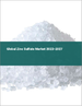 硫酸鋅的全球市場 2023-2027
