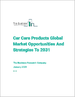 到 2031 年的全球汽車護理產品市場、機遇和戰略