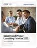 保全、隱私諮詢服務 (2022年)