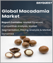 澳洲堅果的全球市場:各產品，加工，各流通管道，各地區，預測分析(2022年～2028年)