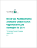全球血壓電解質分析儀市場：2031 年的機遇與戰略