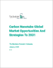 到 2031 年全球碳納米管市場機遇和戰略