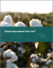 棉花的全球市場 2023-2027