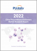 中國的聚氨酯 (UP) 合成橡膠市場:2022年