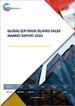 EUV光罩基板的全球市場:銷售分析 (2023年)