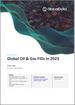 石油和天然氣最終投資決定 (FID)：2023 年
