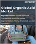全球有機酸市場：市場規模、份額和增長分析-按產品類型、按應用-行業預測 (2022-2028)