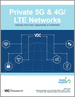 私人5G、4G/LTE網路:終端用戶的考察