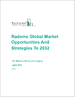 到 2032 年的全球天線罩市場、機遇和戰略