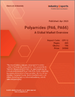 聚□胺（PA6、PA66）：全球市場概覽