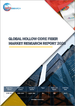 中空光纖的全球市場的分析 (2023年)