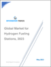 氫燃料供給站的全球市場，2023年