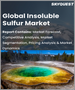 不溶性硫磺的全球市場 - 市場規模，佔有率，成長分析:各等級類型，各用途，產業預測(2023年～2030年)
