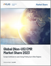 EMR 全球市場份額（美國除外，2023 年）：歐洲繼續領先，其他地區能源復甦趨勢