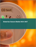 天然氣(氣體)感測器的全球市場 2023-2027