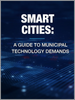 智慧城市：市政技術需求指南