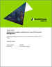 Guidehouse Insights 排行榜報告：資產績效管理 (APM) - 評估公用事業 APM 解決方案的九家領先供應商的策略和執行情況
