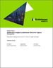 Guidehouse Insights Leaderboard Report:DAC (Direct Air Capture) 企業 - 13 家 DAC 公司的策略和執行能力評估