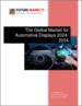 全球汽車顯示器市場：2024-2034
