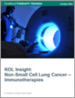 非小細胞肺癌的免疫療法市場:KOL的洞察